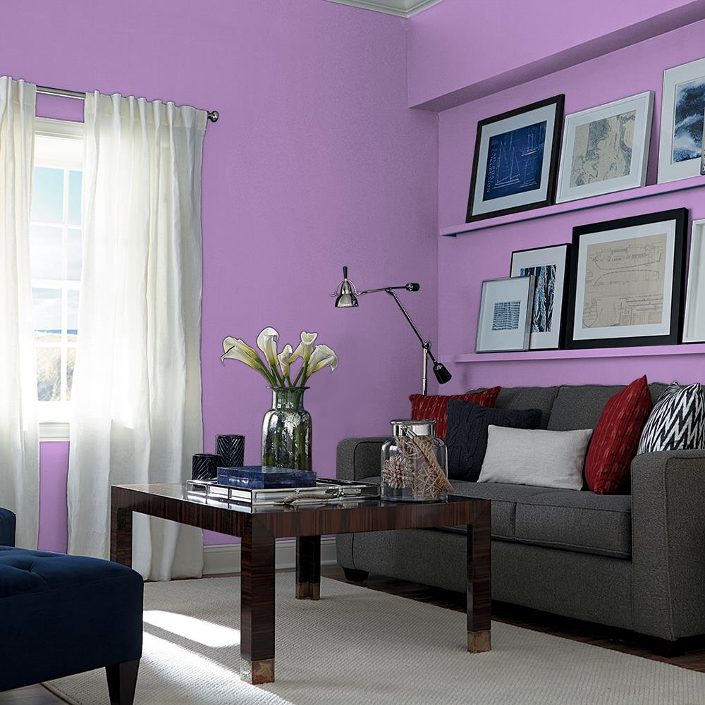 Purple Statice PPG1249-5