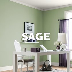 Sage-Green.jpg